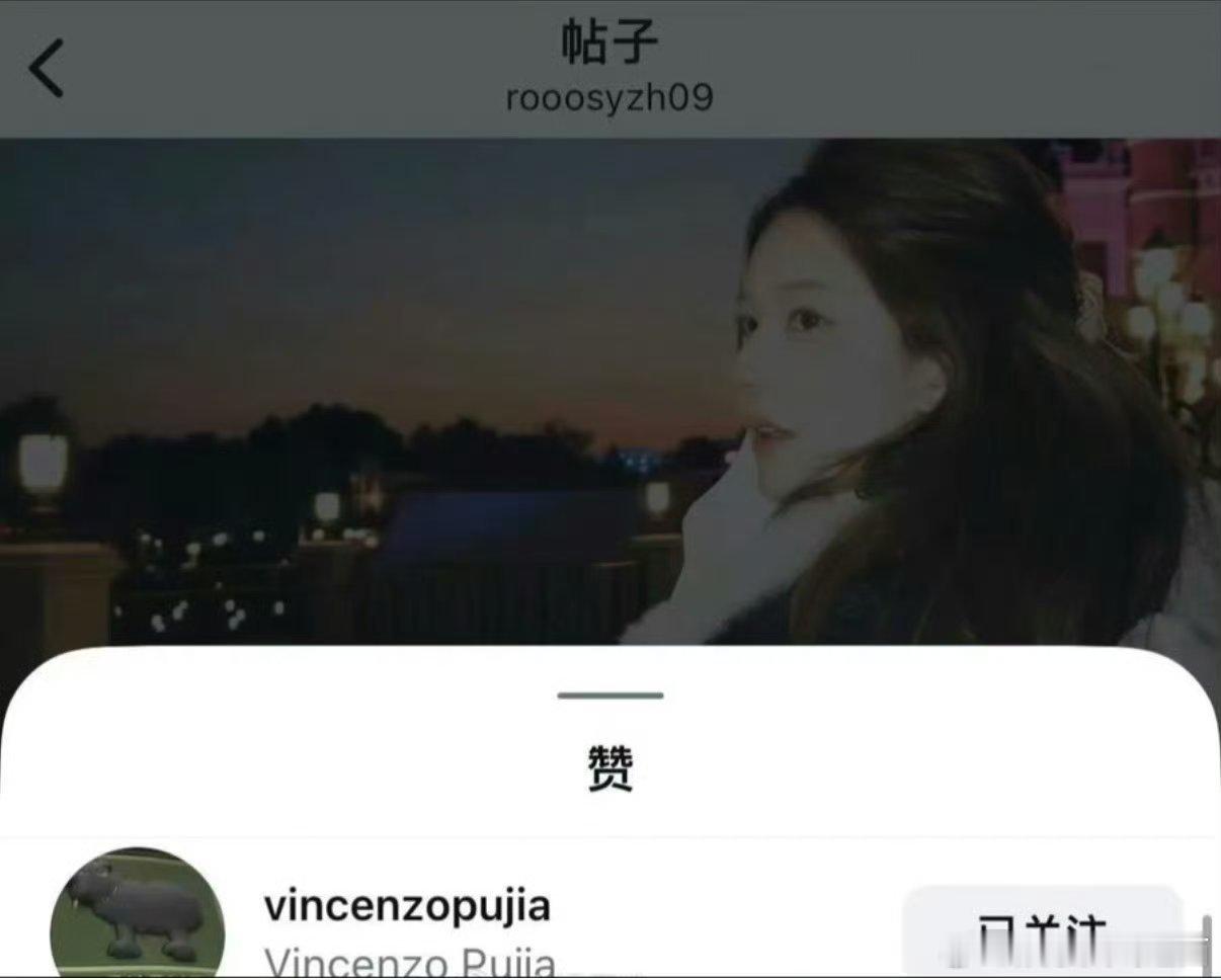 宝格丽Bvlgari副总裁点赞赵露思最新ins