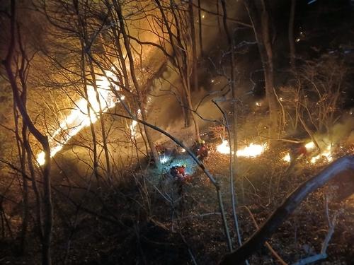 23日，韩国庆尚南道咸阳郡发生的森林火灾进入第三天，林业和消防部门继续开展灭火工