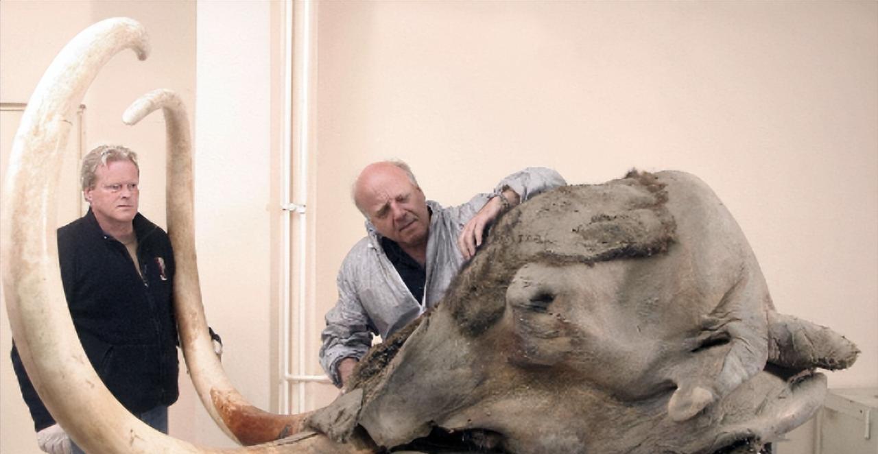 2013年，俄罗斯的一位科学家，为了证明能够“永生”，竟将350万年前的细菌注射