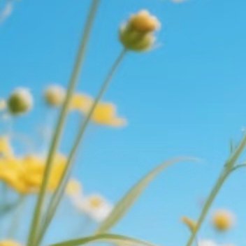 每日一善 每日一善 阳光信用 人生就那么短，不要为了变成别人喜欢的样子，委屈了自