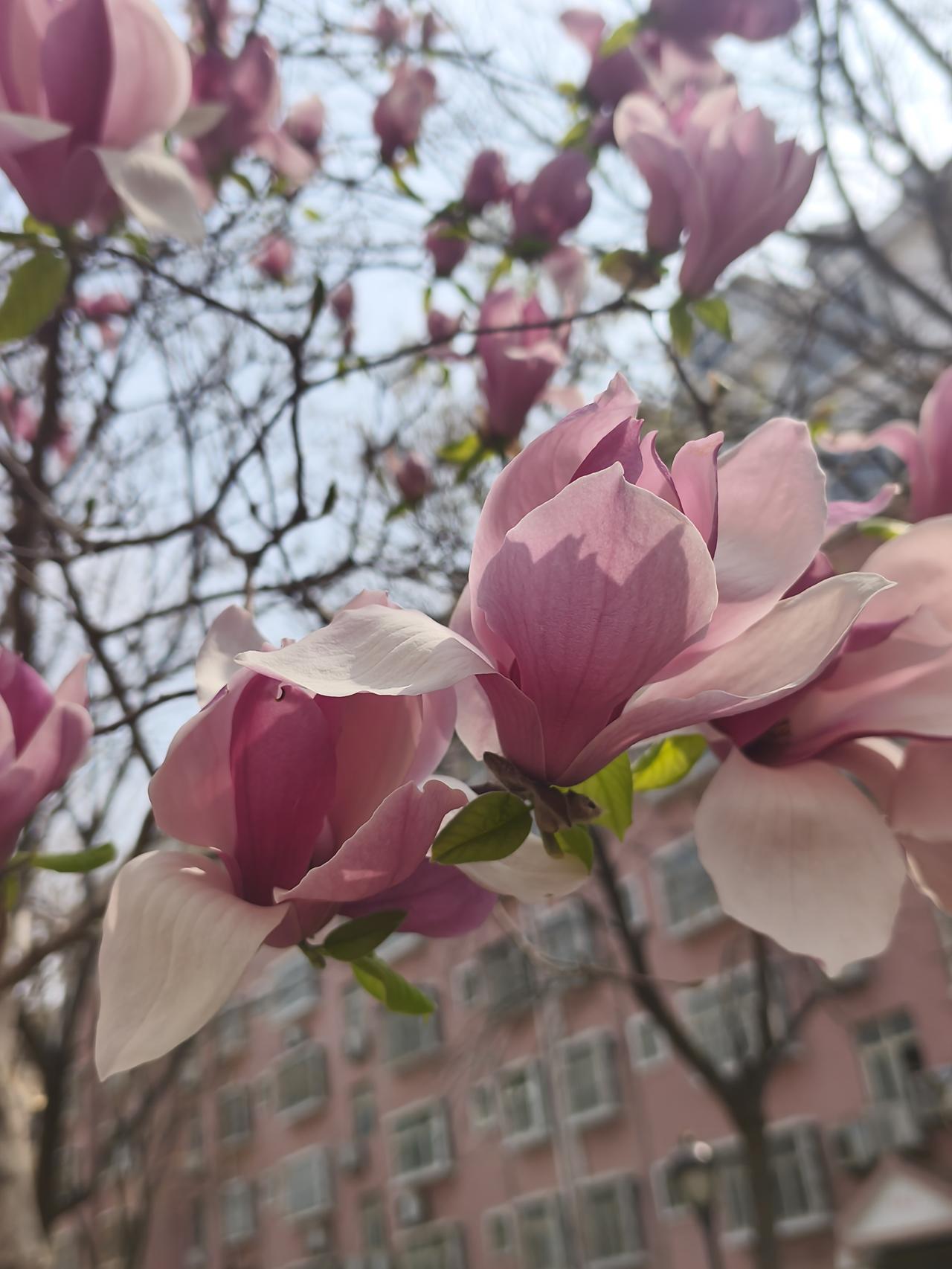 一桌子菜，吃不下去！是不是自己太矫情了，还是太讲究了？
参加朋友的一个娶会。朋友