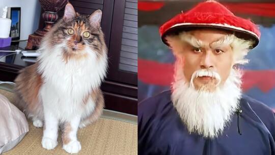 谁家女孩子长了个鳌拜的围脖啊