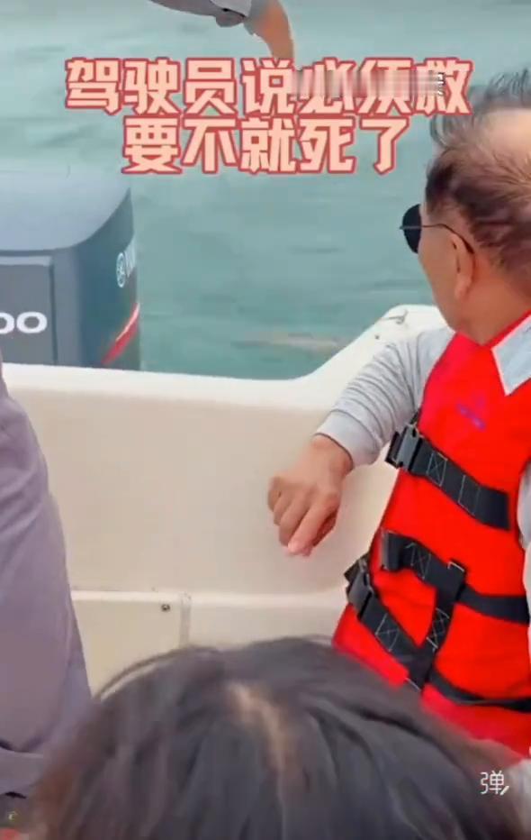 海边坐游艇开出来，1公里远看到一只迷失在大海的金毛，驾驶员说领救，要不就死了。感