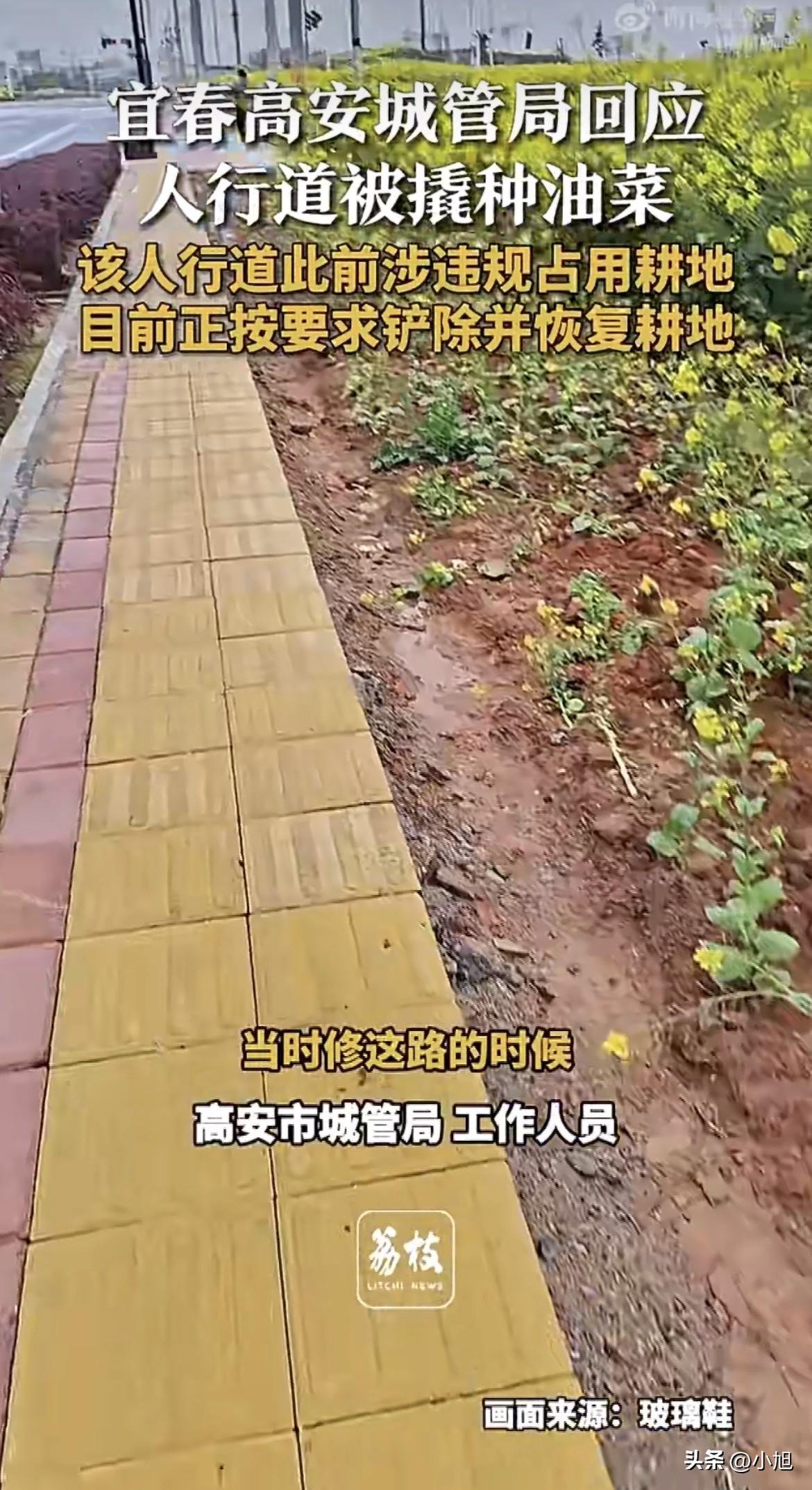 路修了两年，说撬就撬了。

江西高安，一条人行道，地砖被整整齐齐撬起来，堆在路边