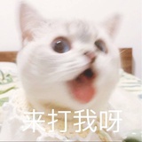 椰子糕热说历史