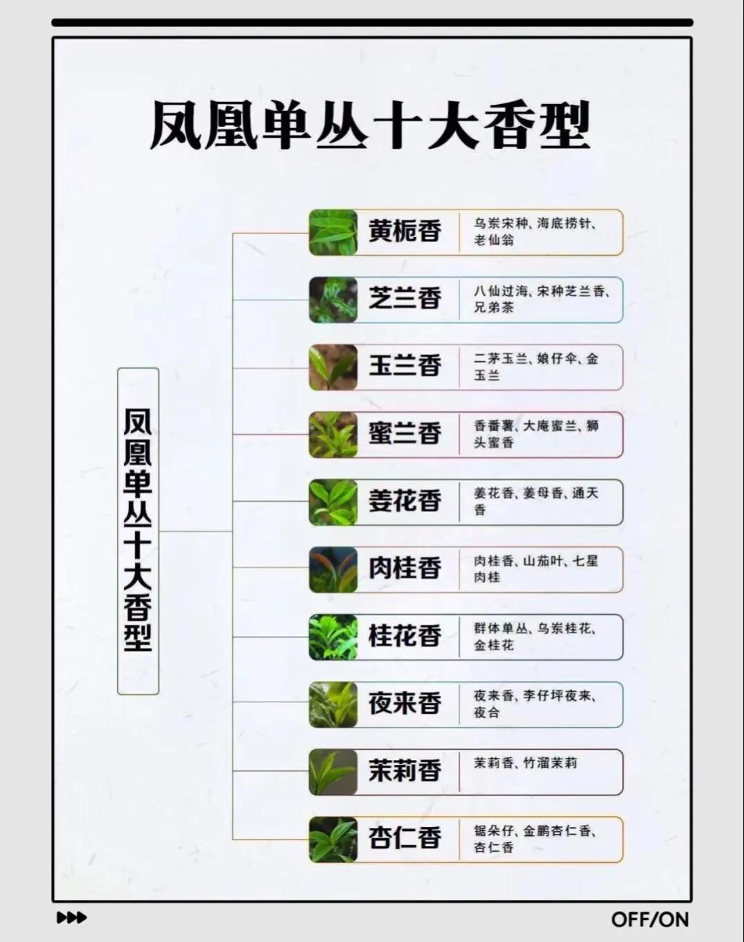 全面了解凤凰单丛十大香型，看这篇就够了

