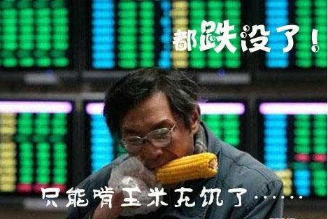 如果有一天你们发现我在街上晕倒了，千万不要扶我，也不用叫救护车，只需要在我耳边大