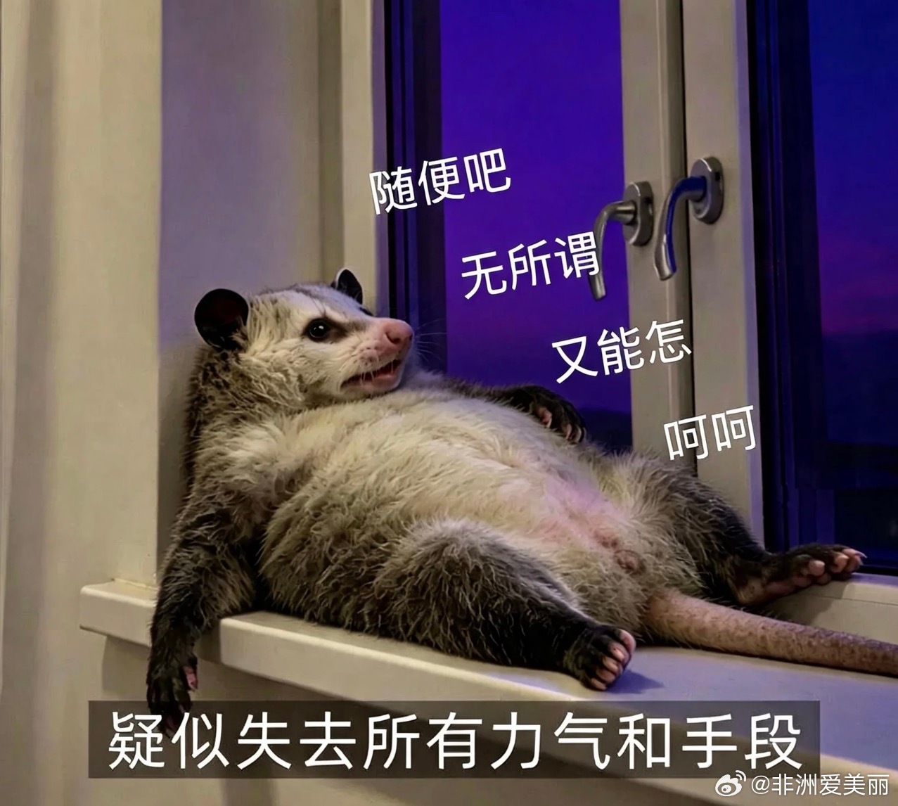 我在楼道深深叹了口气，被隔壁小伙伴看到了，她说，姐，叹气不能朝下，得向上叹才管用
