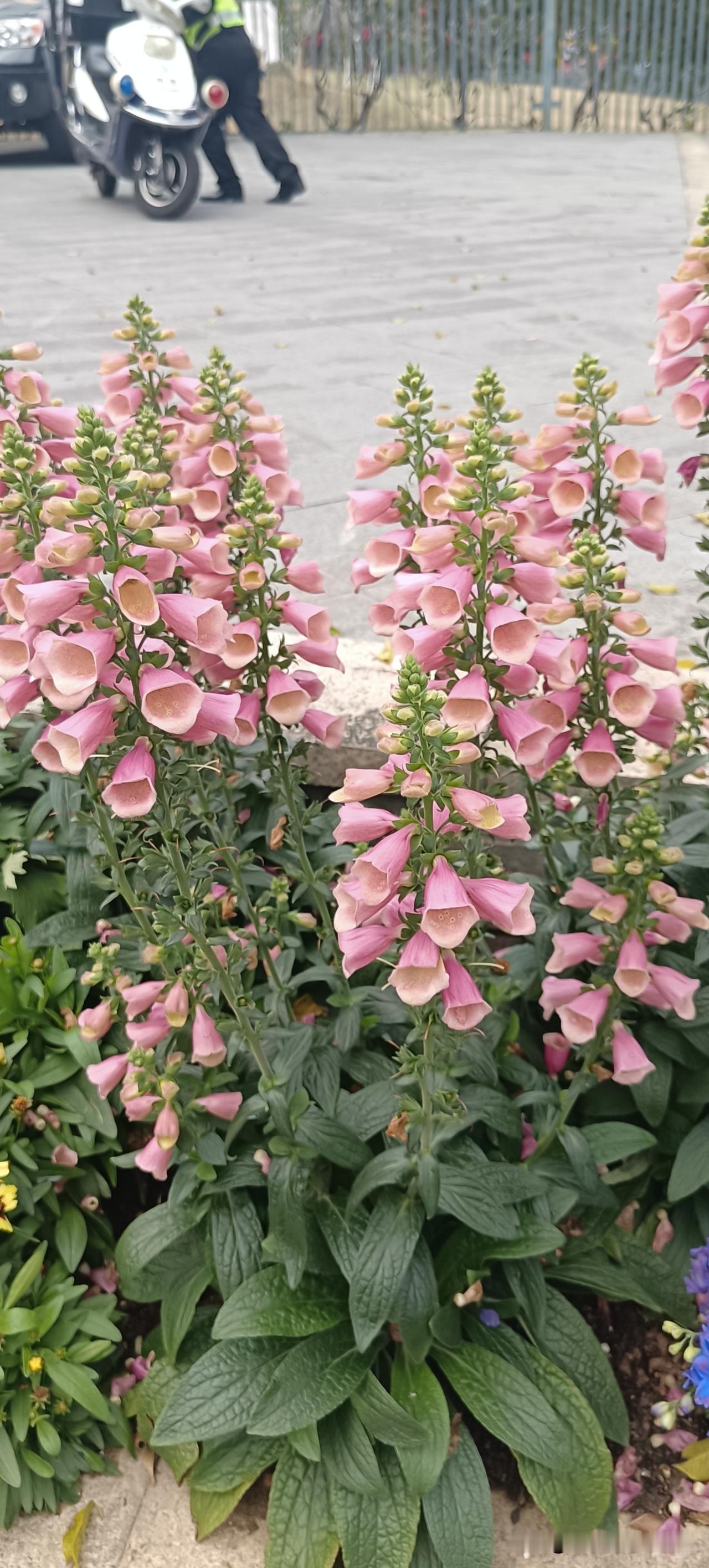 今年天气好，很多人都回家过年了，往年一些开店的都没回家。今年就不同了，绝大多数回