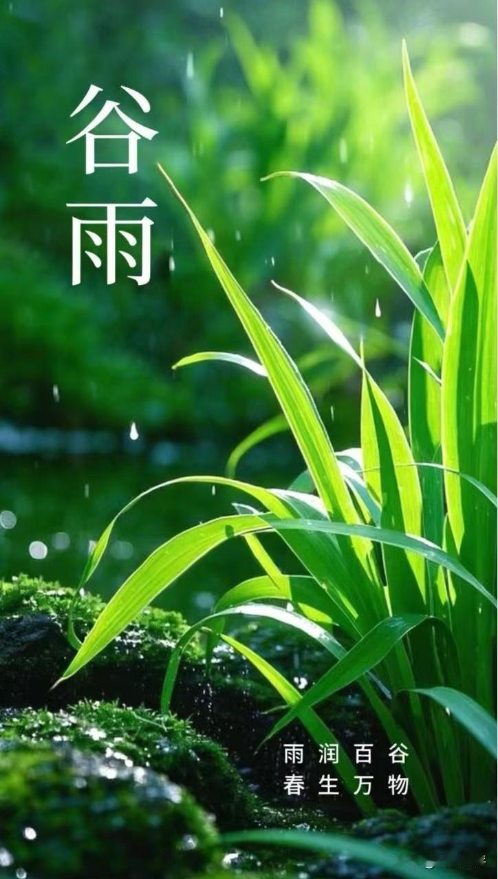 “雨润百谷，春生万物”，谷雨时节，那一场场春雨就像大自然的魔法，滋润着大地，新苗