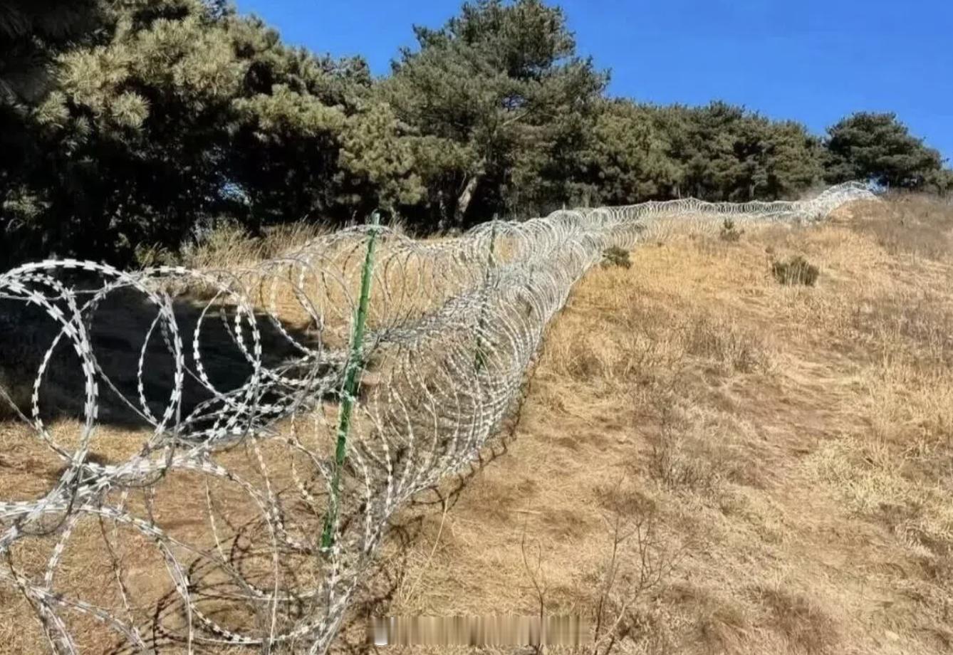 泰安市委市政府：对泰山景区安全防护设施优化改进工作作了安排部署，特别是明确将现有