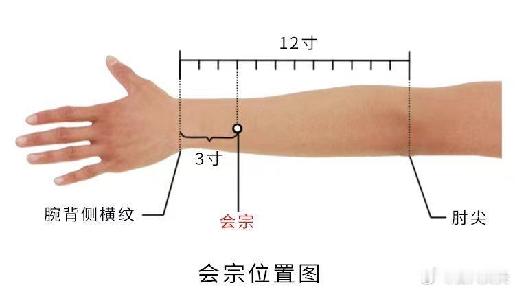  今日分享～三阳络精准取穴：在前臂后区，腕背侧远端横纹上4寸，尺骨与桡骨间隙中点