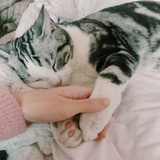 小白獾说说体育
