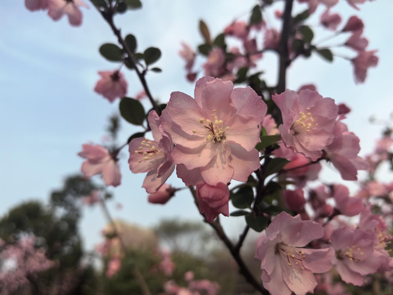 【热评】黄晓明无需为此道歉
黄晓明就带9岁娃骑行道歉
 
近日，黄晓明因带9岁儿