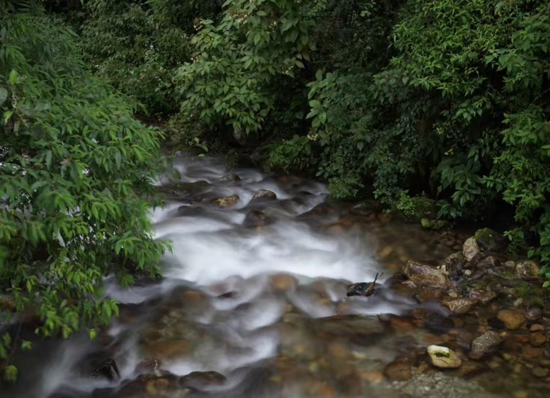 山中溪水流
手机里秋天的景色