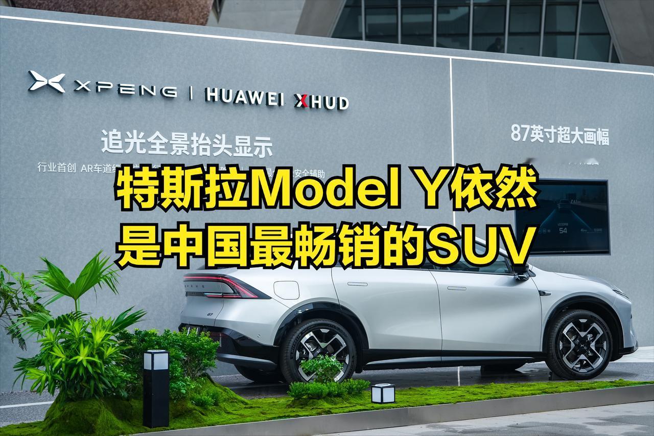 2025年上半年SUV的成绩出来了，特斯拉Model Y依然是最畅销的SUV车型