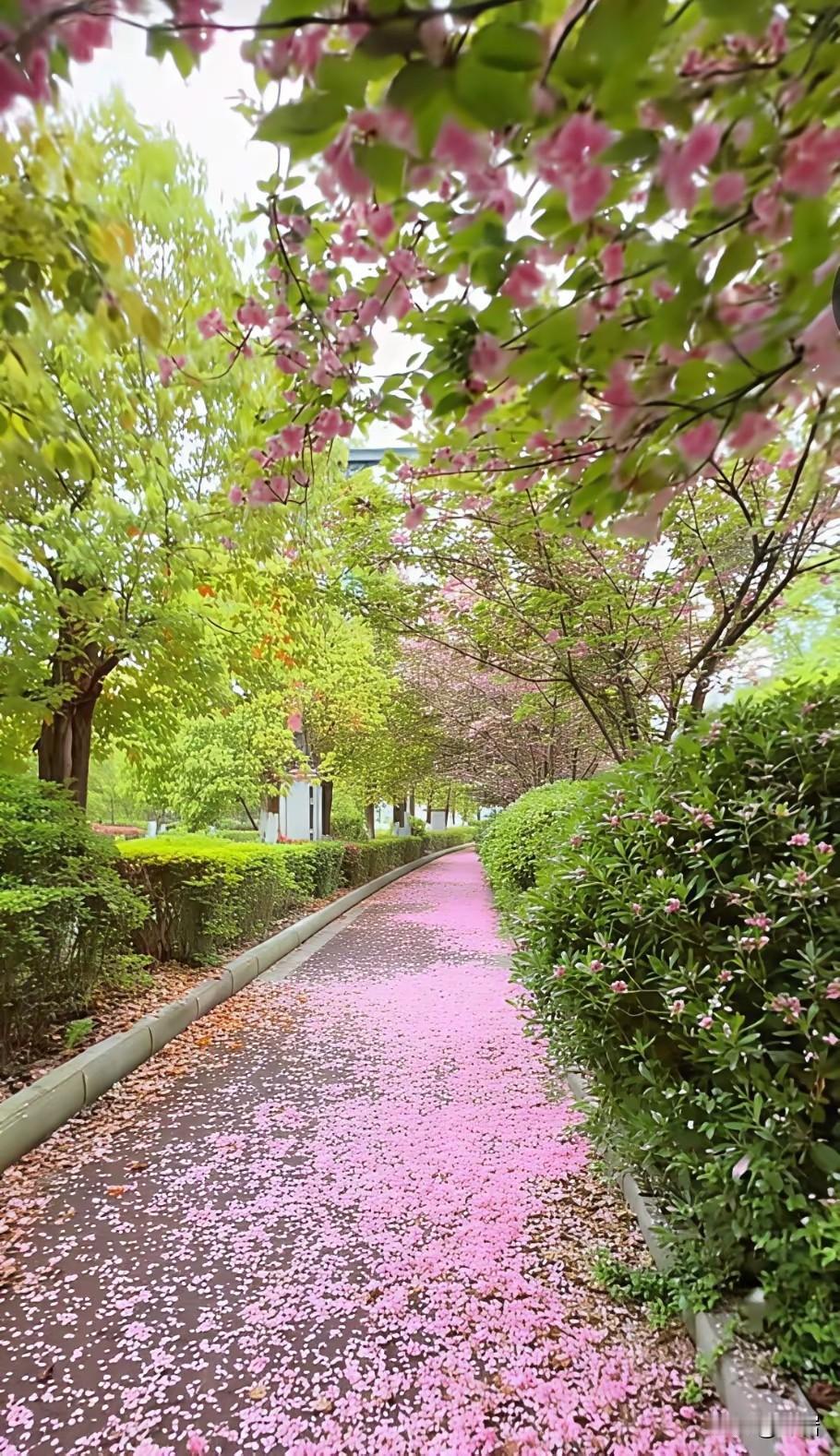 读懂人性，少走半生弯路
 
1. 邻里有界，亲而不密
远亲不如近邻，却不必强做知