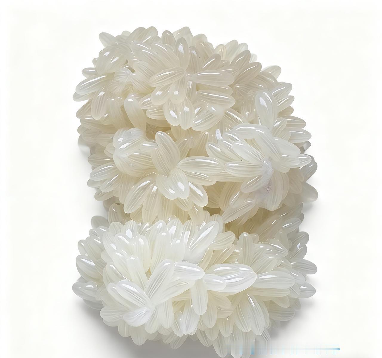 广大的网友们，来猜下这是什么东西，我刚开始以为是大米之类的，妈妈带回来的，我猜了