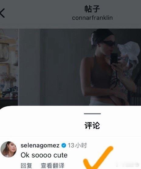 赛琳娜在霉霉婚礼上用手机全员交手机签保密协议，结果赛琳娜被拍到在婚礼上刷手机？？