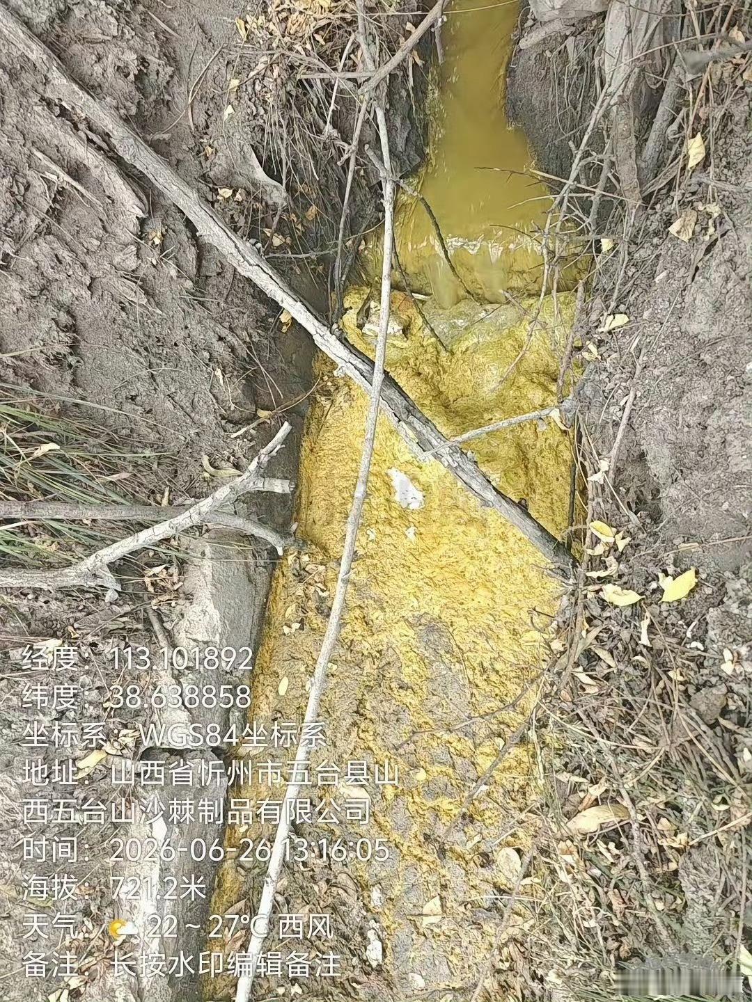 近日有博主爆料：忻州五台县一沙棘企业偷排黄废水，直排林地河道，谁来守护生态？山西