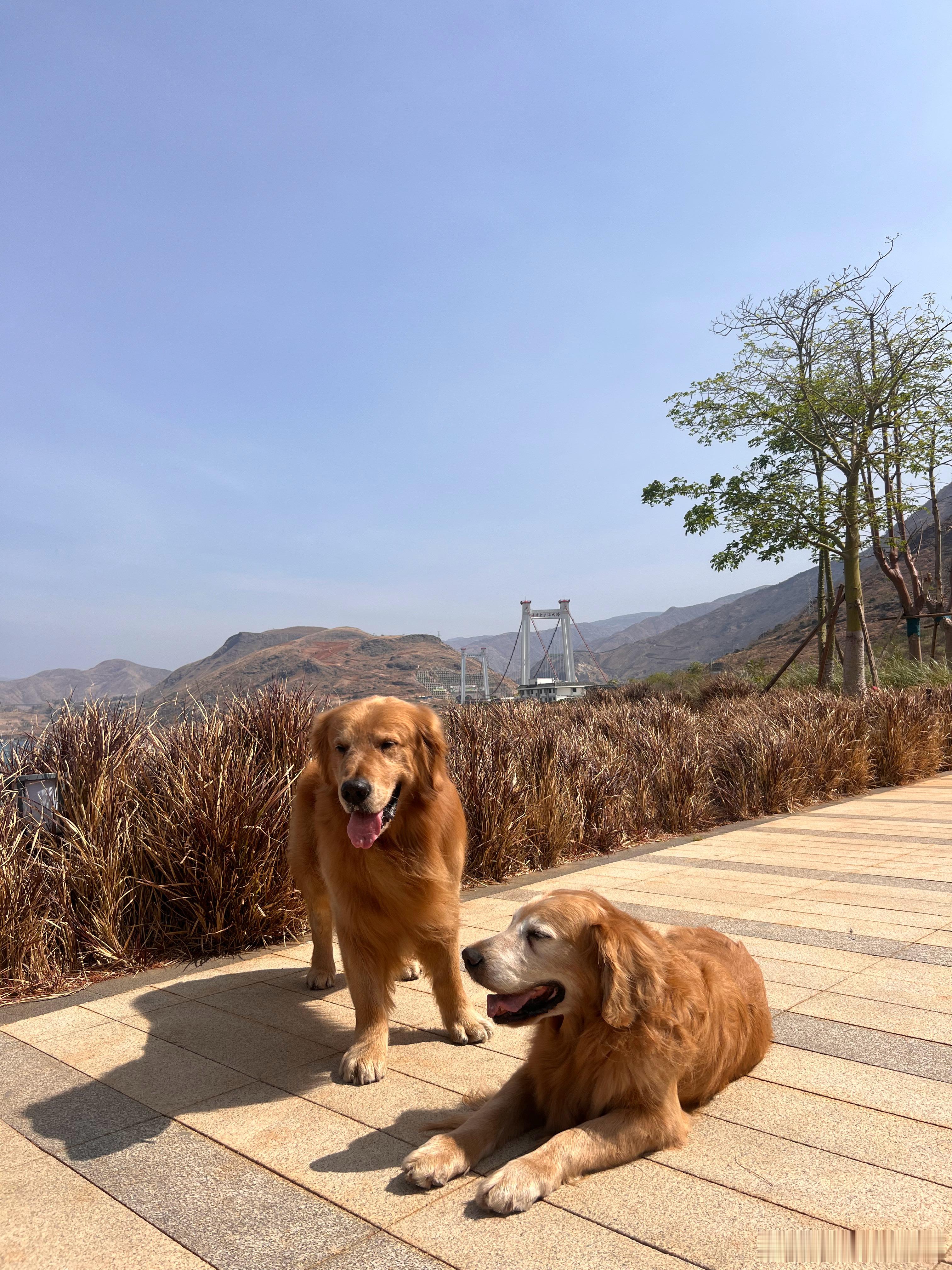 没去过海边，在涛源金沙江大桥观景台找到了一种影视作品里海边小渔村的感觉。 ​​​