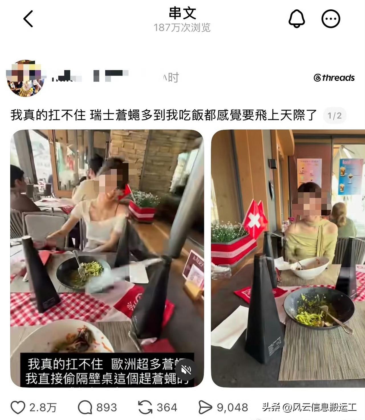 台湾省网友去瑞士旅游吐槽苍蝇多，其他网友跟帖整个欧洲都多！