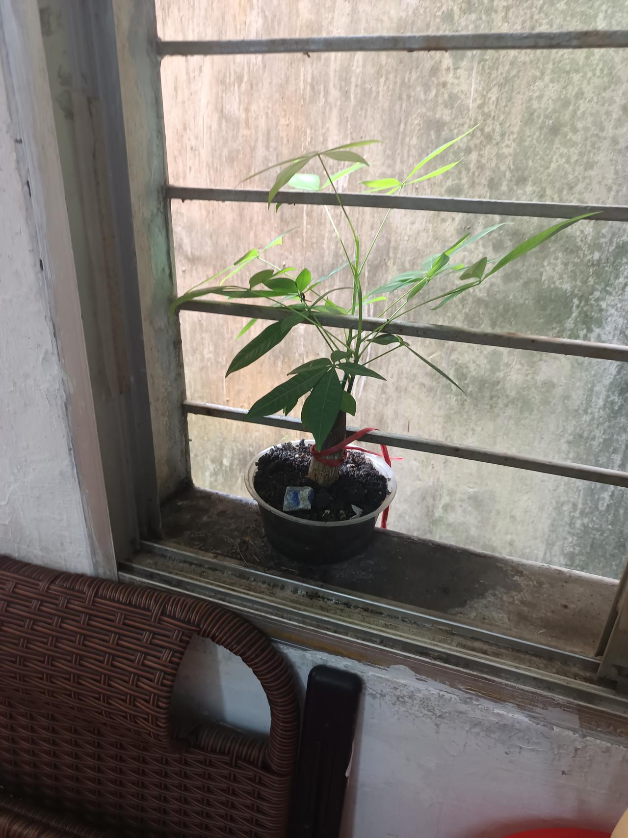你敢相信吗？看这照片知道我在哪里拍的吗？