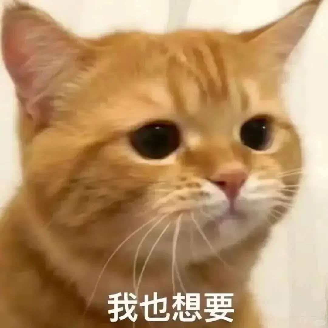 周杰伦个唱首登北京鸟巢 太狠啦！居然把QQ空间这样的顶级社死存档拿出来啦！但是还