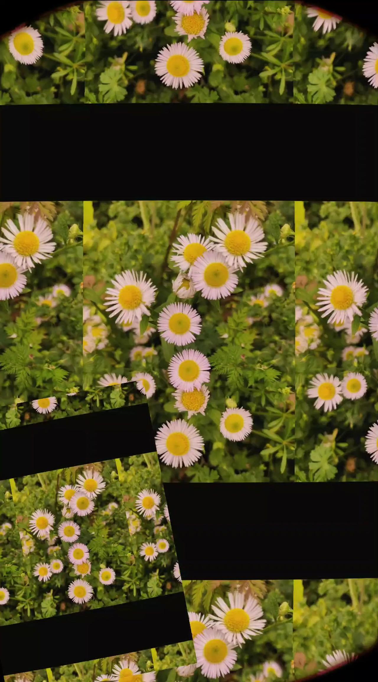 愿安好享福！这冗长一生，再难与你相见，难免哽咽。