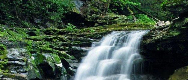 【晨曲】《早安，晨曲！4月24日 三月初八 星期五快乐！》有事搜一搜，没事看一看