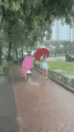 大雨之后，路上有鱼