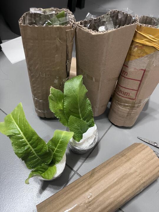 开箱是专属于晚上的节目