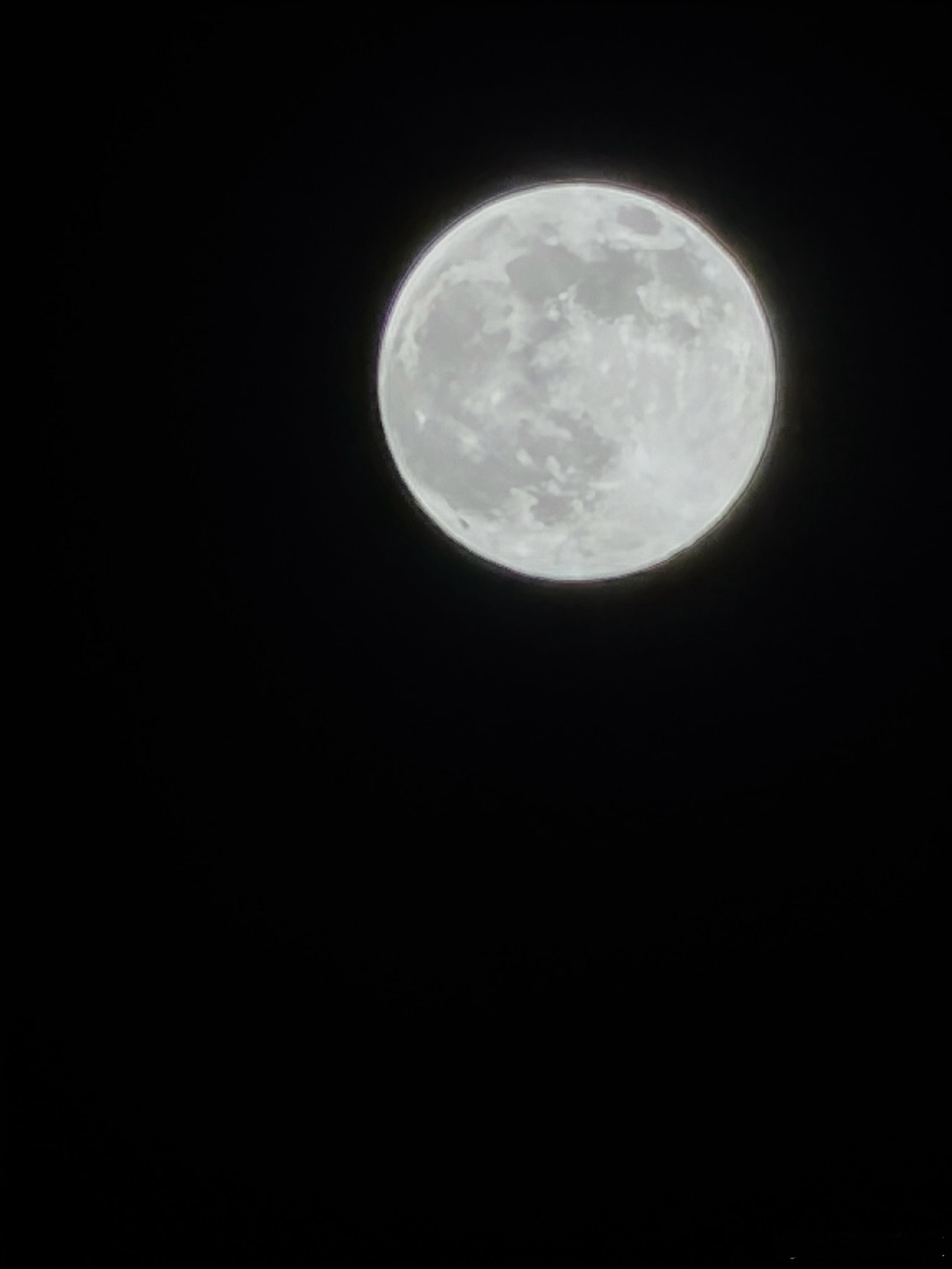 冰轮碾碎万山青，独倚危楼醉复醒。欲借清辉浣尘垢，恐惊孤鹊坠寒汀。身如断梗随波转，