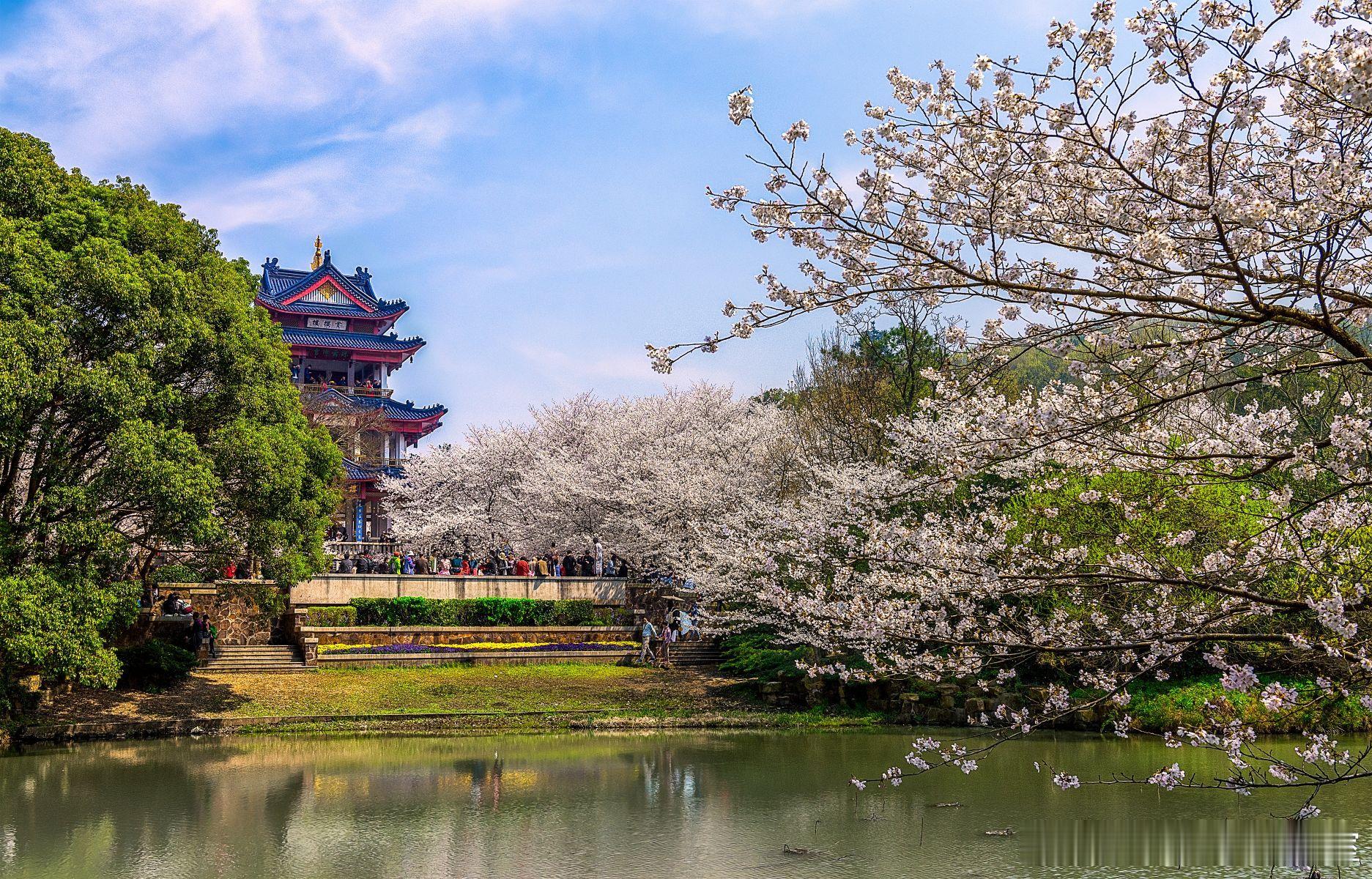 【股权激励，如何平衡“短期面包”与“长期理想”？】核心观点：优秀的股权激励，必须