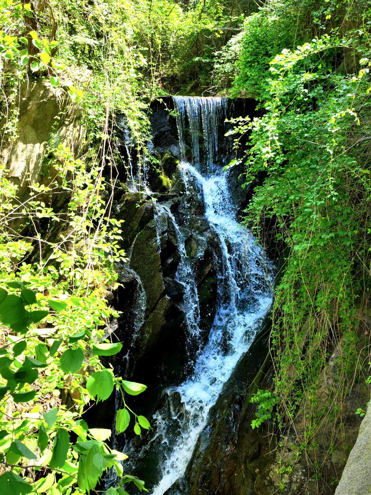 九如山在济南近郊属于第一梯队的自然景区，主打山水、徒步、拍照、慢生活风格。
正值