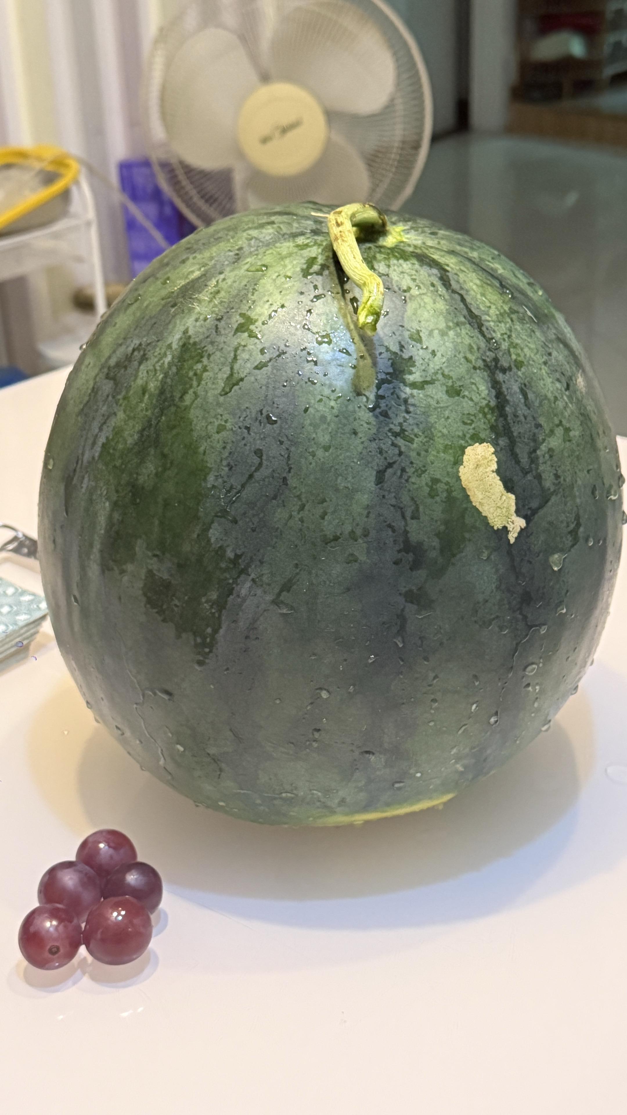 故乡啊，外婆呢