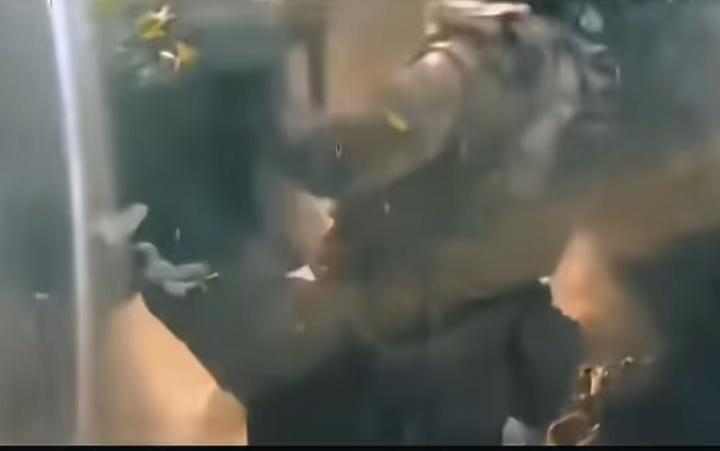 ​不是你死就是我亡，在俄乌战场上又出现惊恐的一幕：两名士兵正在扭打着，其中一名是