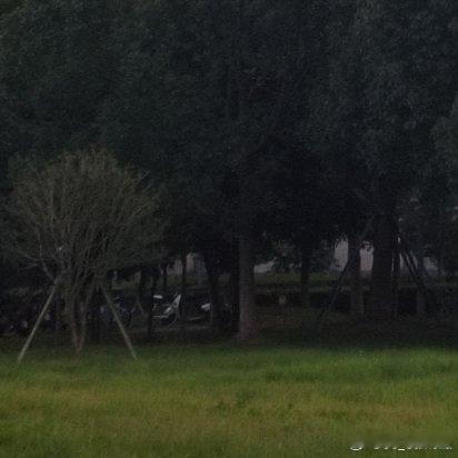 年轻人，你的职责是平整土地，而非焦虑时光。你三四月做的事，在八九月自有答案。--