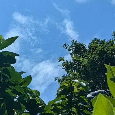 每日一善 善良是一种养分，每日滋养我们的心灵。让我们保持这种善良，让内心充满正能