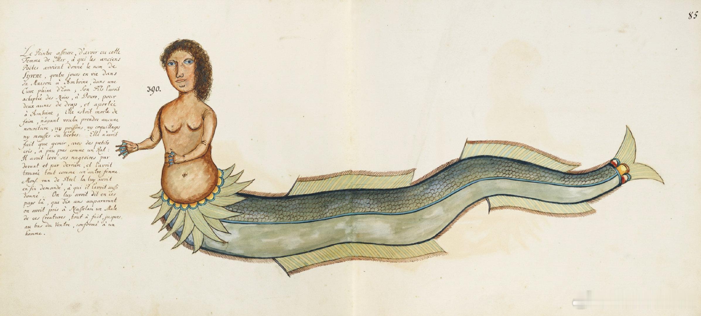 #西洋历史文化鱼缸[超话]# 英国画家Samuel Fallours在1706-