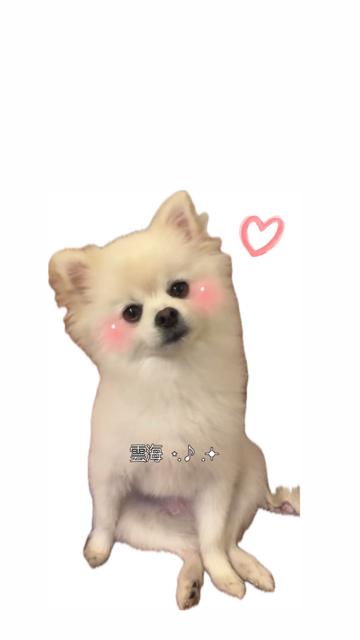 弓木奈於　ゆみきぐらむ ​​​