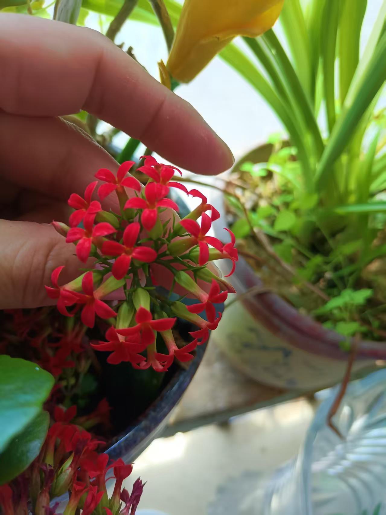 今年春天最想实现的心愿