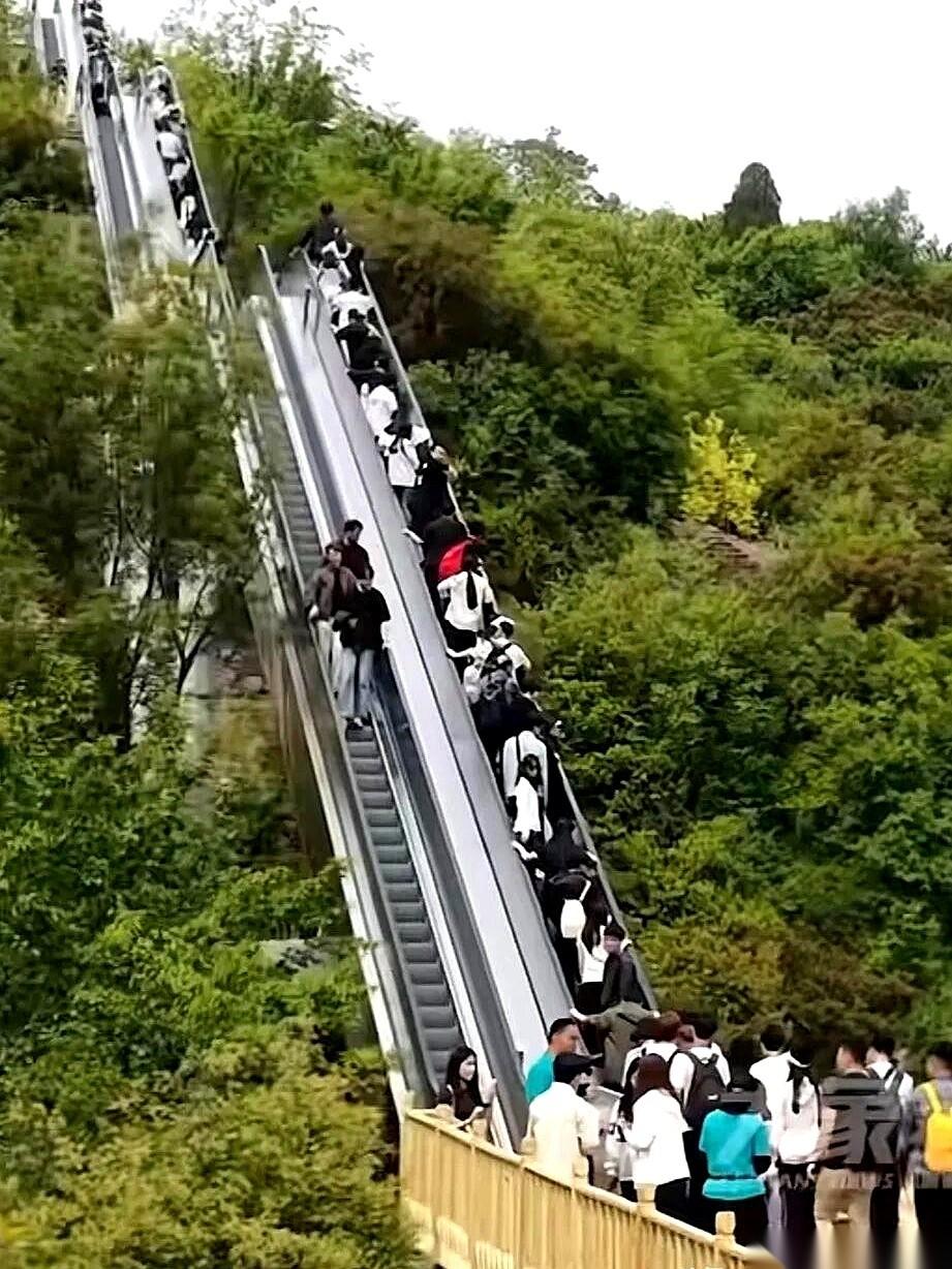 河南宝泉景区这波操作，直接把全国的“爬山党”和“懒人党”干懵了。
他们一口气在山