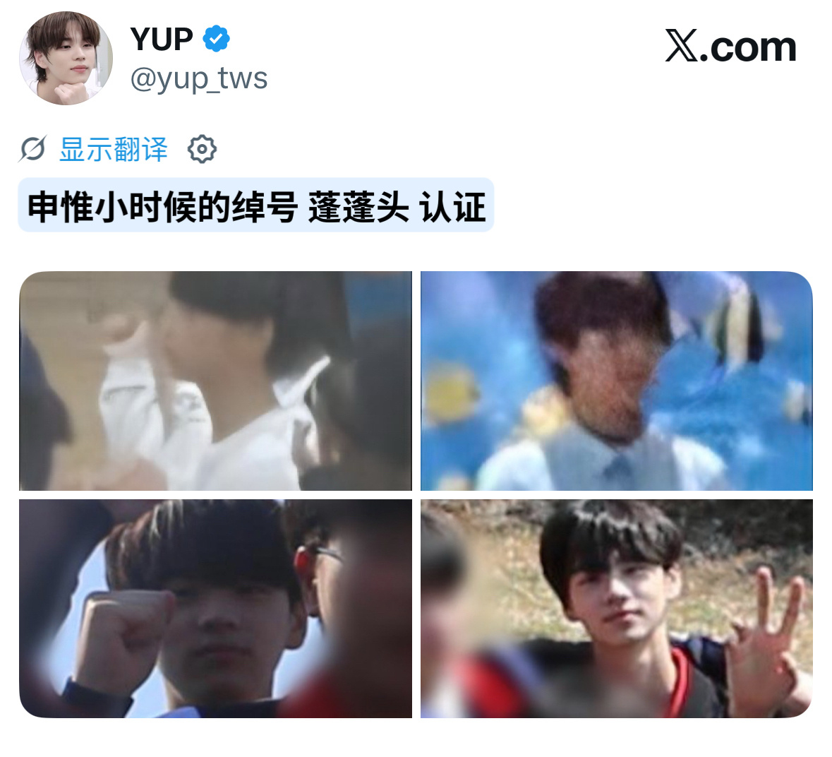 蓬头小子一枚 