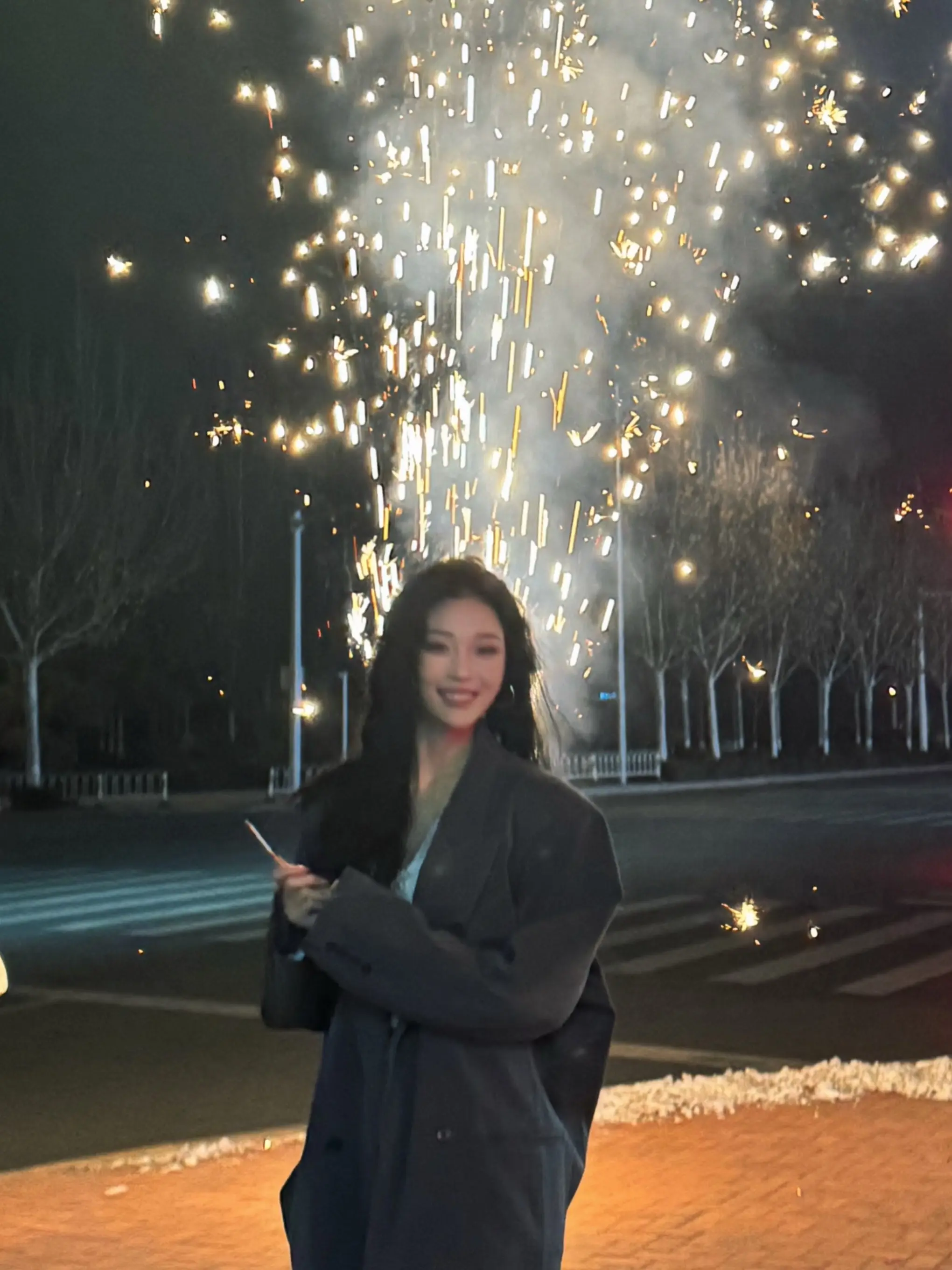 岁岁常欢愉年年皆胜意 新的一年如烟花灿烂