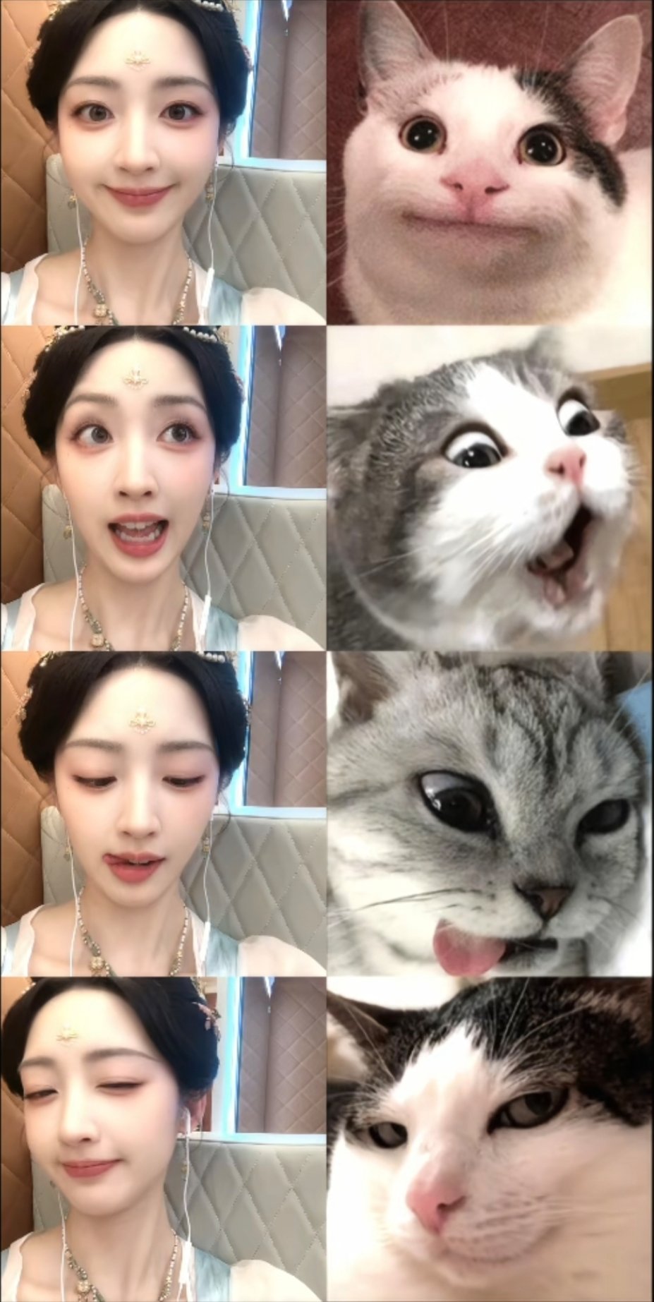 恩熙猫🐱 ​​​