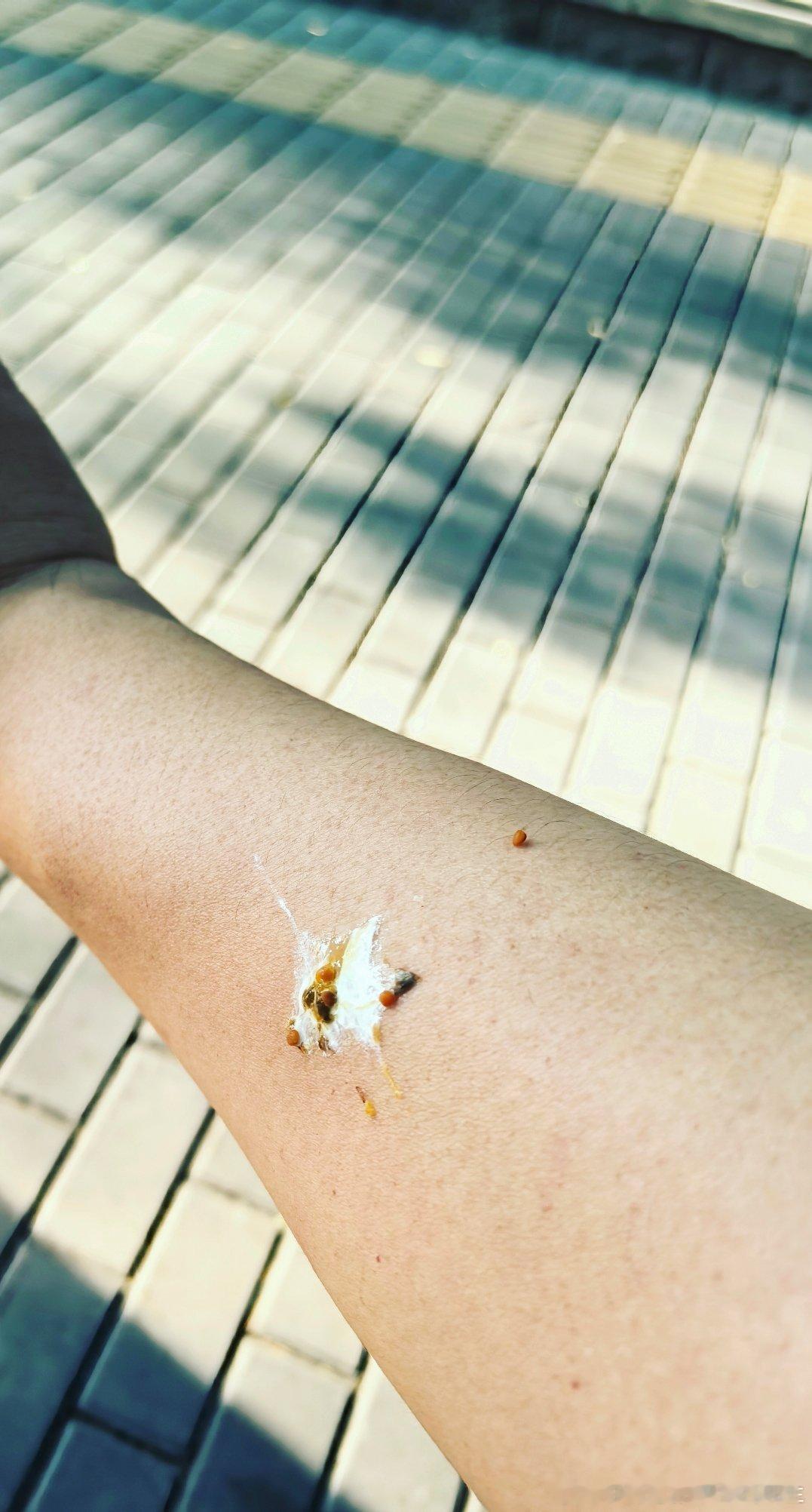 卧槽天降祥瑞，我要实现杨教授版超进化了天降祥瑞曼联