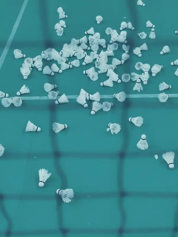 今天早上打了一场超爽的羽毛球！天刚亮，我就被老爸叫起来去公园打球。到了公园，清新