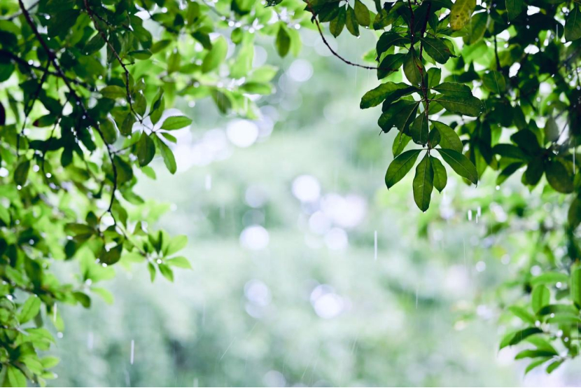今日义乌天气以中雨转小雨为主，全天气温在 24℃ ~ 29℃ 之间。当前（08: