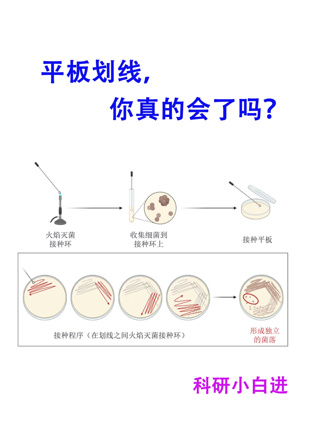 🔥关于“平板划线”，你真的会了吗？